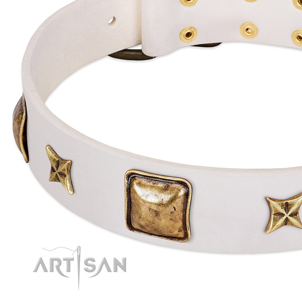 Reliable decorations on full grain leather dog collar for your four-legged friend