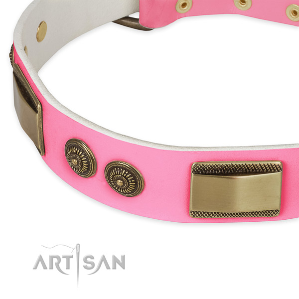 Full grain genuine leather dog collar with embellishments for daily use