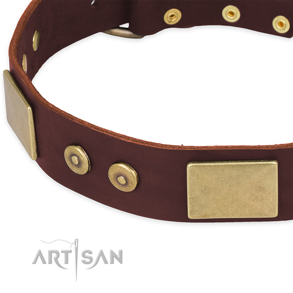 Full grain genuine leather dog collar with embellishments for daily use