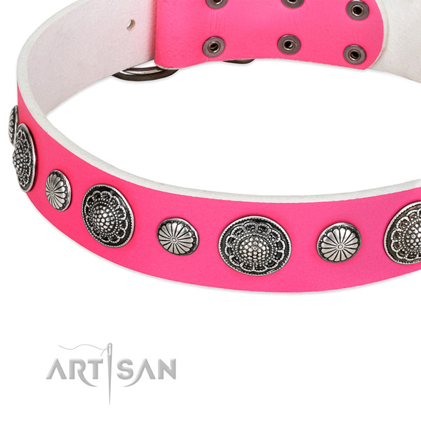 Natural leather collar with corrosion resistant buckle for your lovely four-legged friend