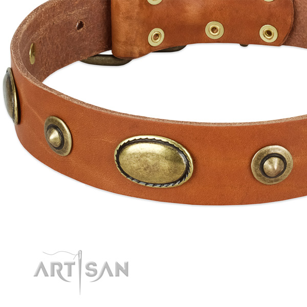 Rust-proof adornments on full grain leather dog collar for your canine