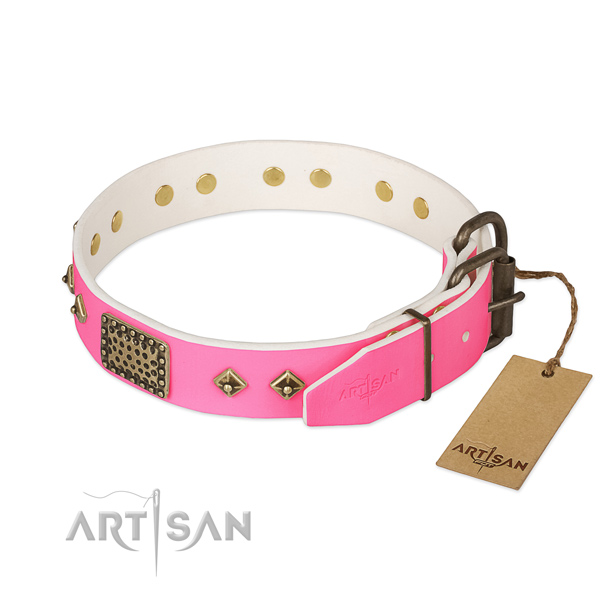 Rust resistant D-ring on easy wearing dog collar