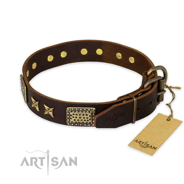 Rust resistant buckle on leather collar for your impressive pet