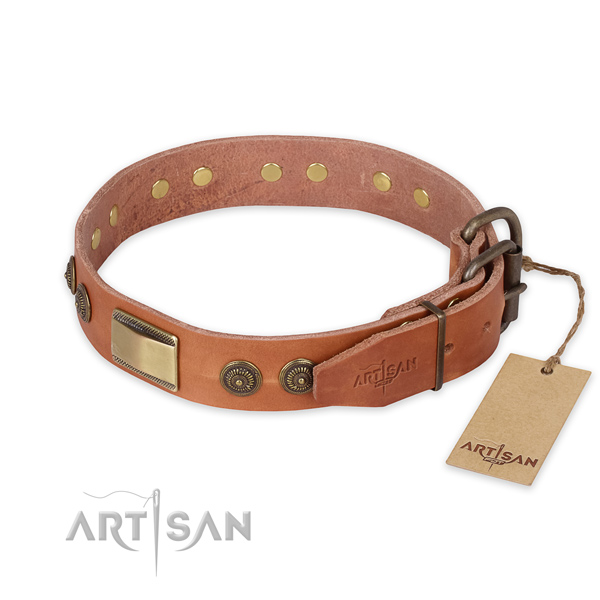 Corrosion proof traditional buckle on full grain leather collar for fancy walking your pet