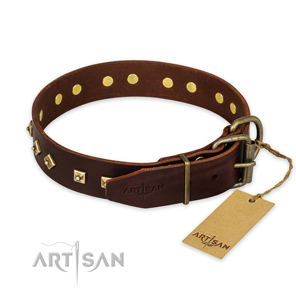 Rust-proof buckle on genuine leather collar for daily walking your pet