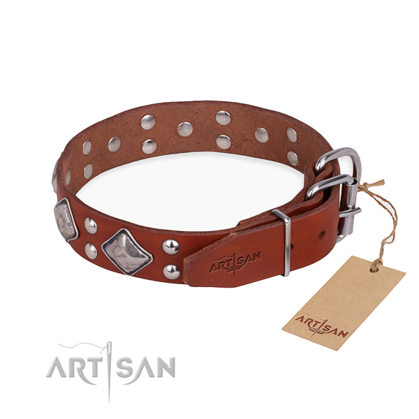 Natural leather dog collar with inimitable rust-proof studs