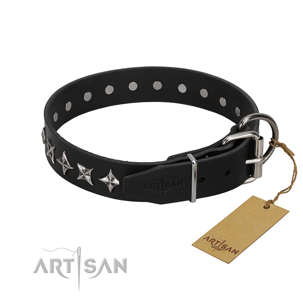 Everyday use decorated dog collar of best quality full grain natural leather