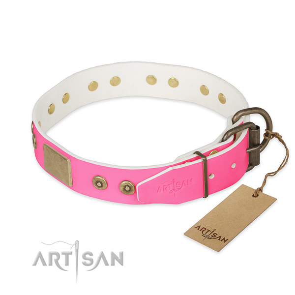 Corrosion proof adornments on handy use dog collar