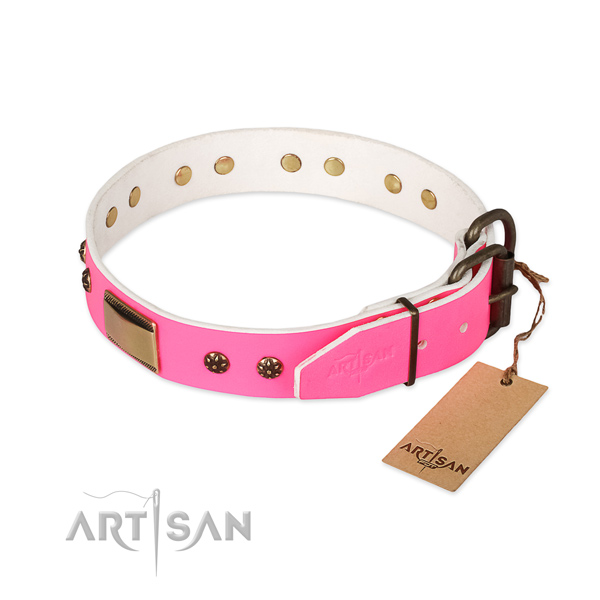 Rust-proof studs on full grain leather dog collar for your dog