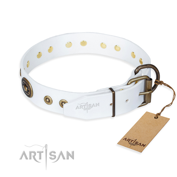 Leather dog collar made of flexible material with corrosion resistant studs