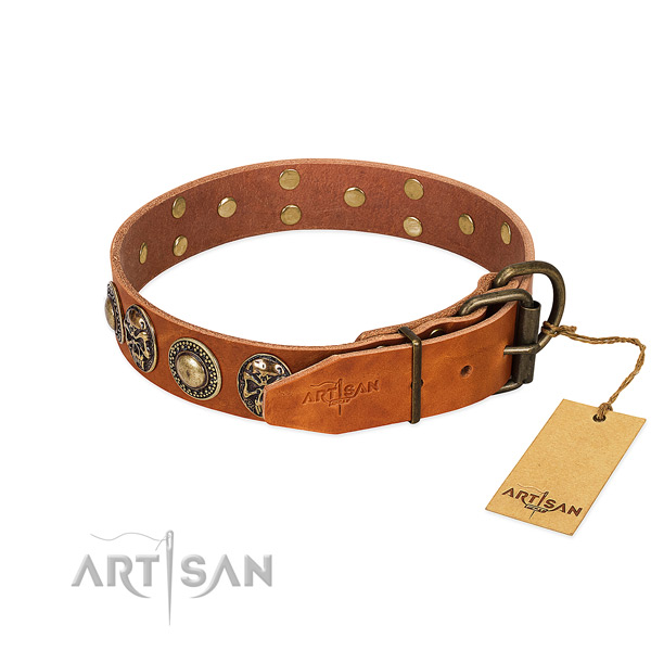 Durable studs on walking dog collar