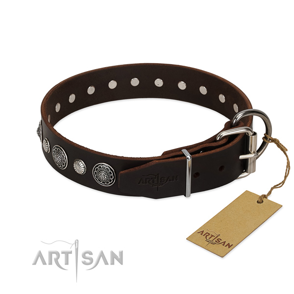 Fine quality natural leather dog collar with top notch studs