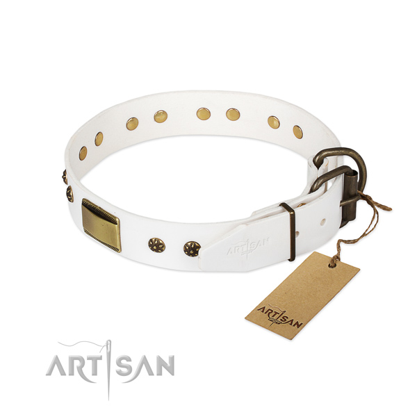 Full grain natural leather dog collar with strong fittings and adornments