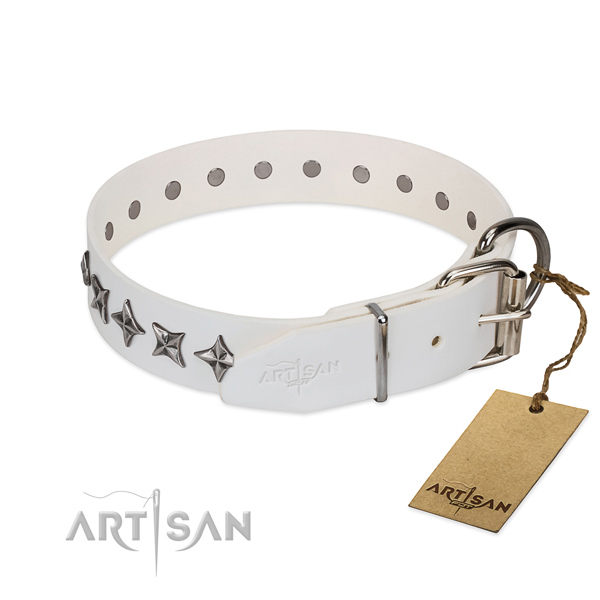 Daily walking adorned dog collar of finest quality natural leather