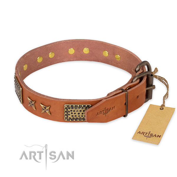 Rust-proof fittings on full grain natural leather collar for your stylish canine