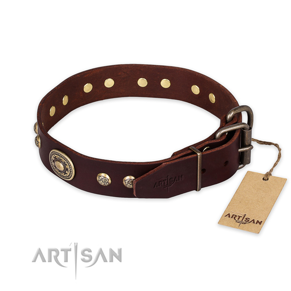 Rust-proof buckle on leather collar for daily walking your four-legged friend