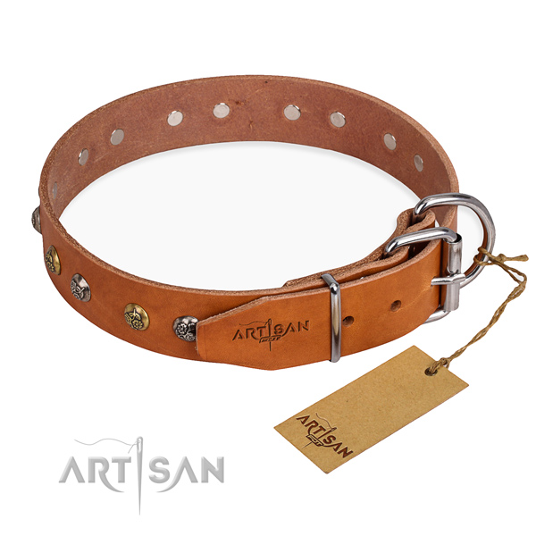Genuine leather dog collar with incredible corrosion proof studs