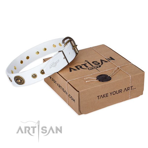 Natural genuine leather dog collar made of high quality material with durable fittings