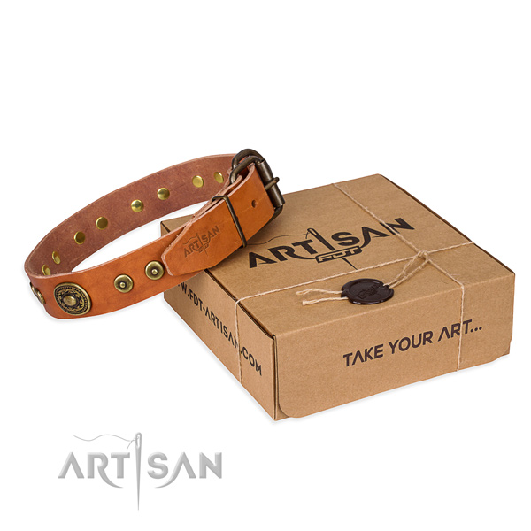 Full grain genuine leather dog collar made of best quality material with corrosion proof fittings