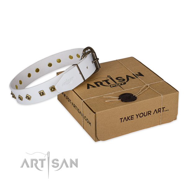 Corrosion resistant hardware on genuine leather dog collar for everyday use