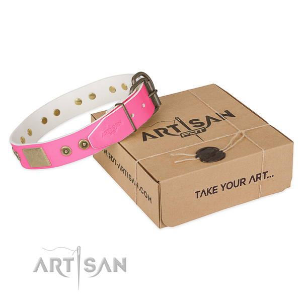 Durable traditional buckle on dog collar for daily walking