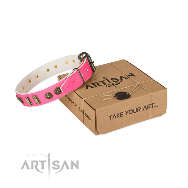 Strong adornments on full grain leather dog collar for your canine