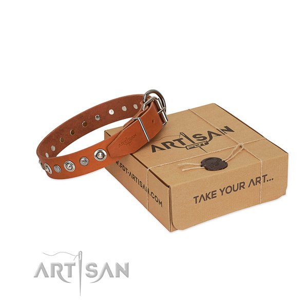 Best quality full grain natural leather dog collar with extraordinary studs
