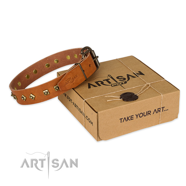 Reliable hardware on full grain natural leather dog collar for daily walking