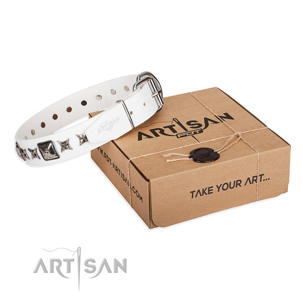 Daily use genuine leather dog collar with embellishments
