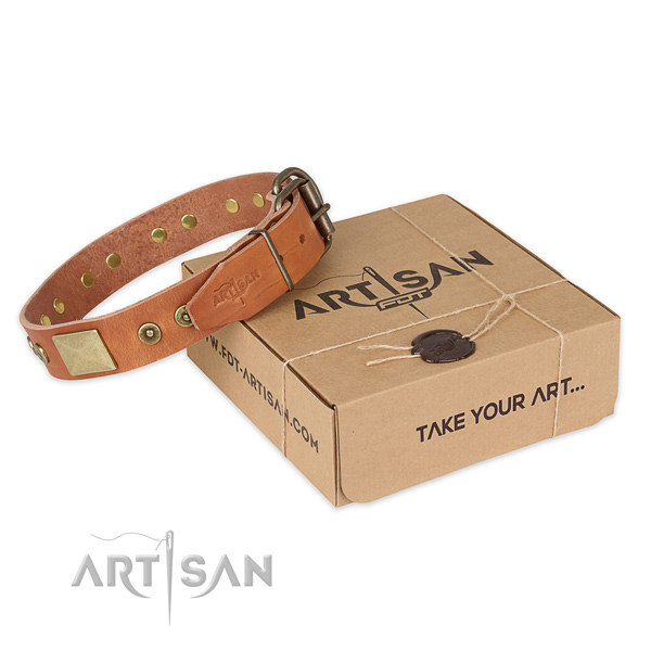 Strong traditional buckle on full grain genuine leather dog collar for everyday use