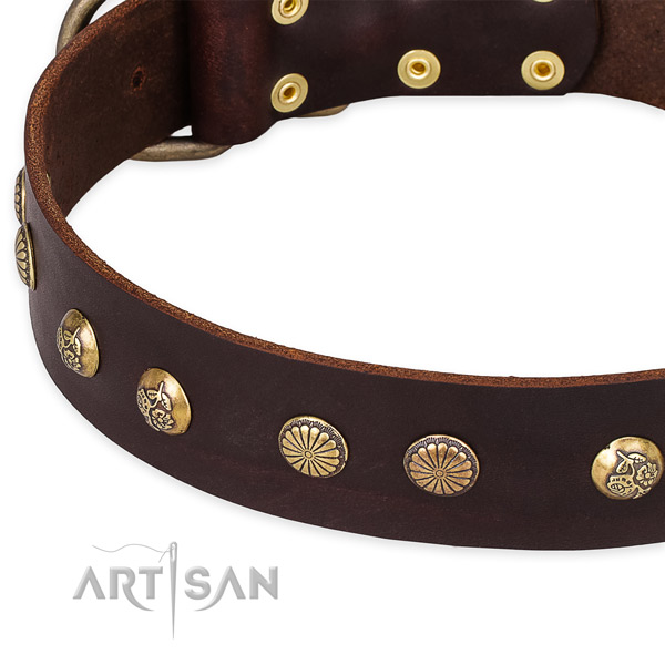 Full grain leather collar with corrosion proof fittings for your attractive canine