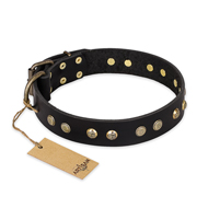 "Black Elegance" FDT Artisan Leather English Bulldog Collar with Round Studs