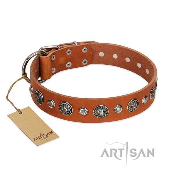 Top notch Full grain natural leather dog collar with rust-proof fittings