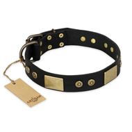 "Spanish night" FDT Artisan Fashionable Leather Walking English Bulldog Collar