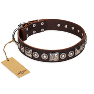 "Pierian spring" FDT Artisan Brown Leather English Bulldog Collar with Silvery Decorations