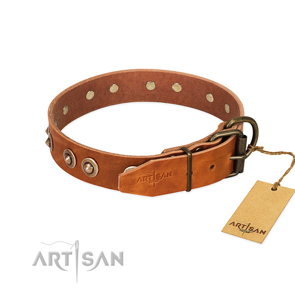 Durable studs on full grain genuine leather dog collar for your canine