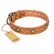 "Feast of Luxury" FDT Artisan Tan Leather English Bulldog Collar with Old Bronze Look Circles