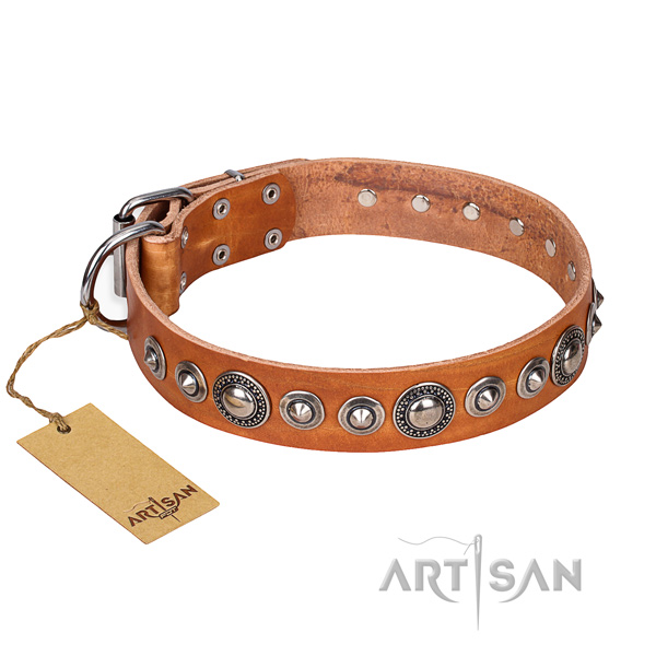 Full grain leather dog collar made of gentle to touch material with corrosion resistant traditional buckle