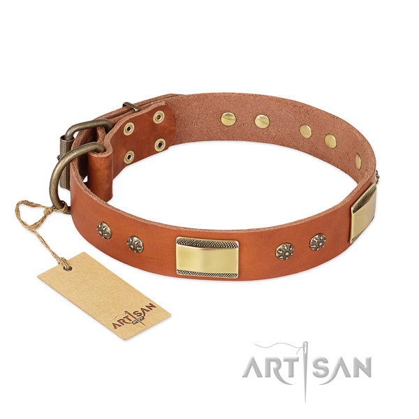 Extraordinary genuine leather collar for your dog