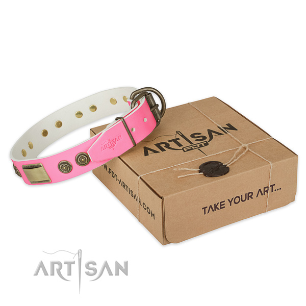 Reliable studs on dog collar for basic training