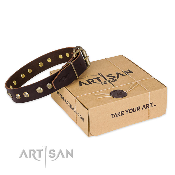 Corrosion proof D-ring on genuine leather collar for your impressive canine