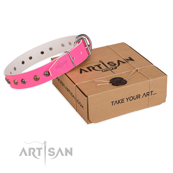 Comfortable wearing dog collar with Significant rust resistant embellishments