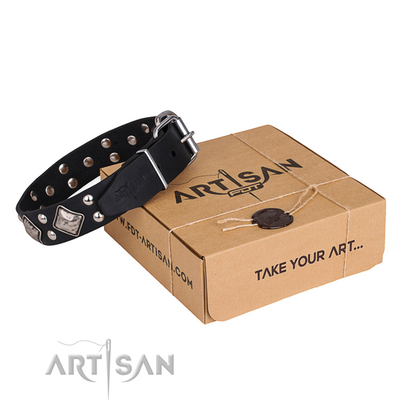 Comfortable wearing dog collar with Significant rust resistant embellishments