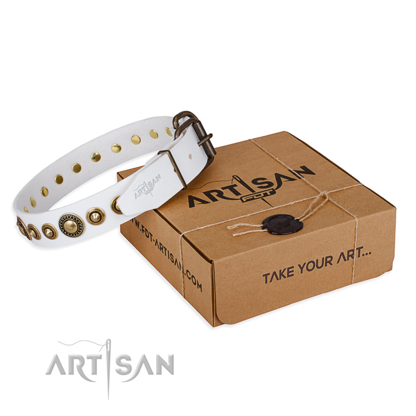 High quality leather dog collar handmade for comfy wearing