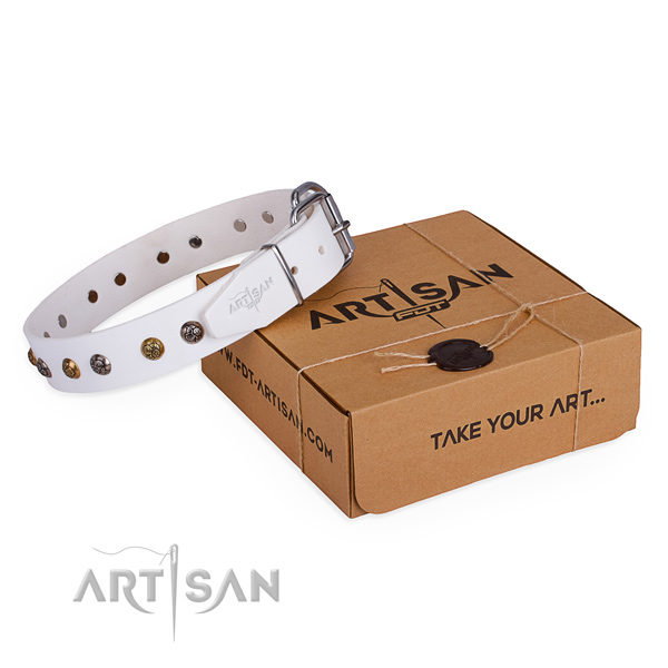 Everyday walking dog collar with Designer strong decorations
