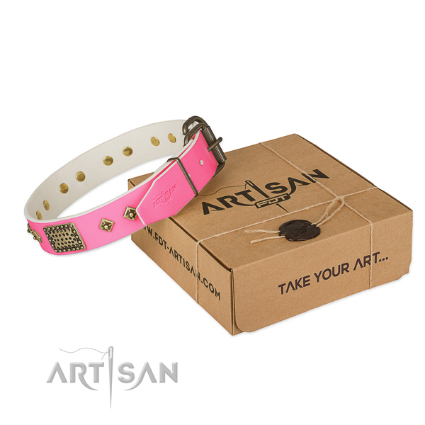 Reliable D-ring on dog collar for daily walking