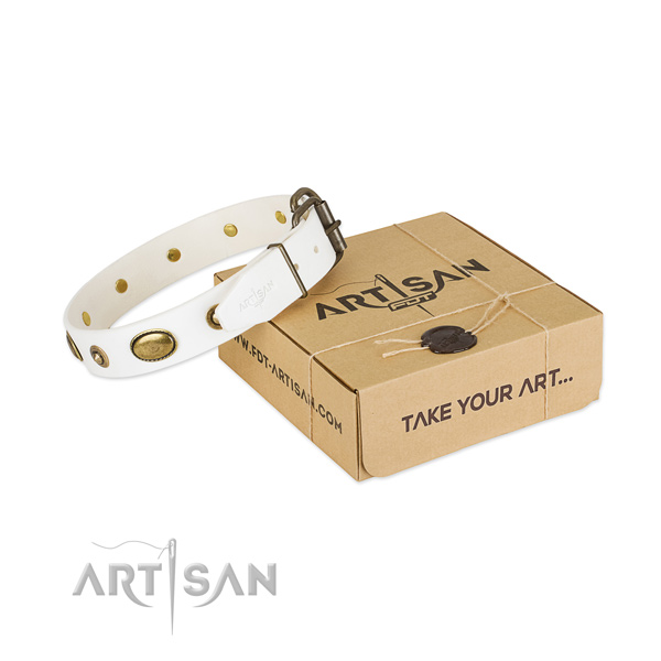 Perfect fit natural leather collar for your beautiful four-legged friend