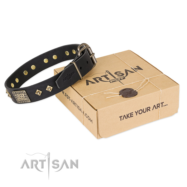 Stylish genuine leather collar for your stylish pet