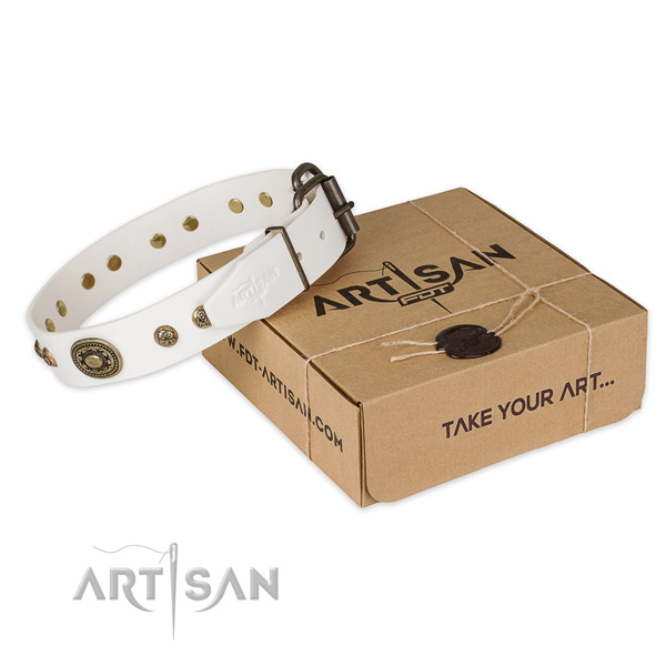 Rust-proof traditional buckle on full grain leather dog collar for everyday walking