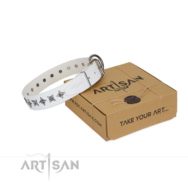 Quality leather dog collar with unique embellishments